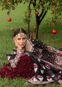 Shahnoor