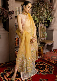 Raaz