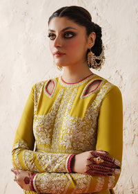 Zard Bahaar - Dupatta - Mix & Match