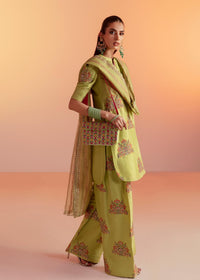 Platain Dupatta