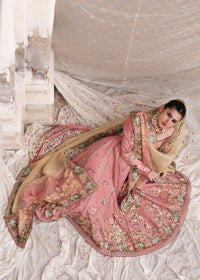 Nazneen - Dupatta