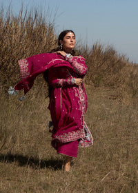 Mehrunisa - Mix & Match
