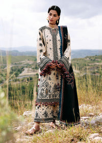 Dhanak