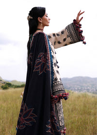 Dhanak